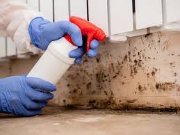 Mold Removal for HVAC Installations in Brier, WA